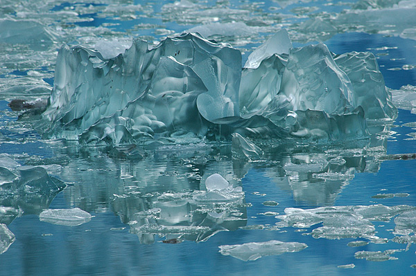 bas62 - Glacier Ice 2ﾠ©2005 Barbara Swanson