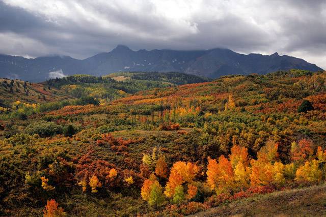 cb01 - Fall in the High Country ©2005 Carrie Barton