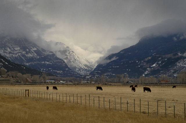 cb08 - Rangeland ©2005 Carrie Barton