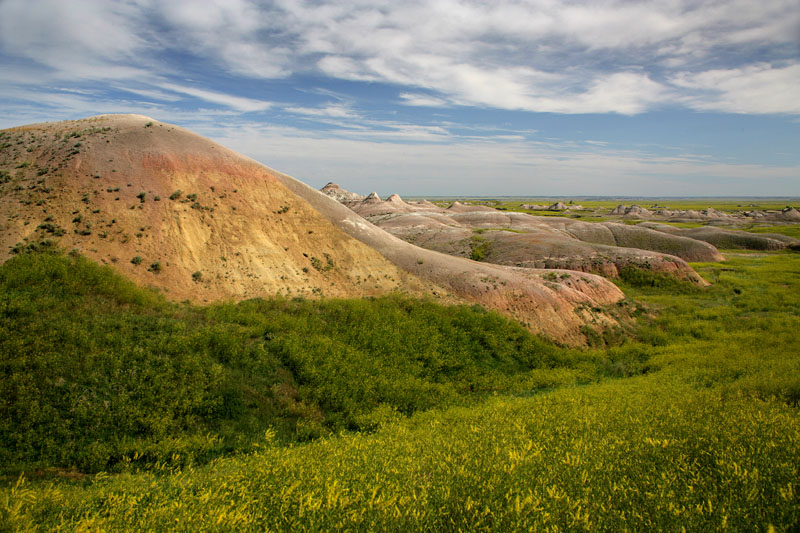 XP9F0051w - Spring in the Badlands ©2009 Carrie Barton