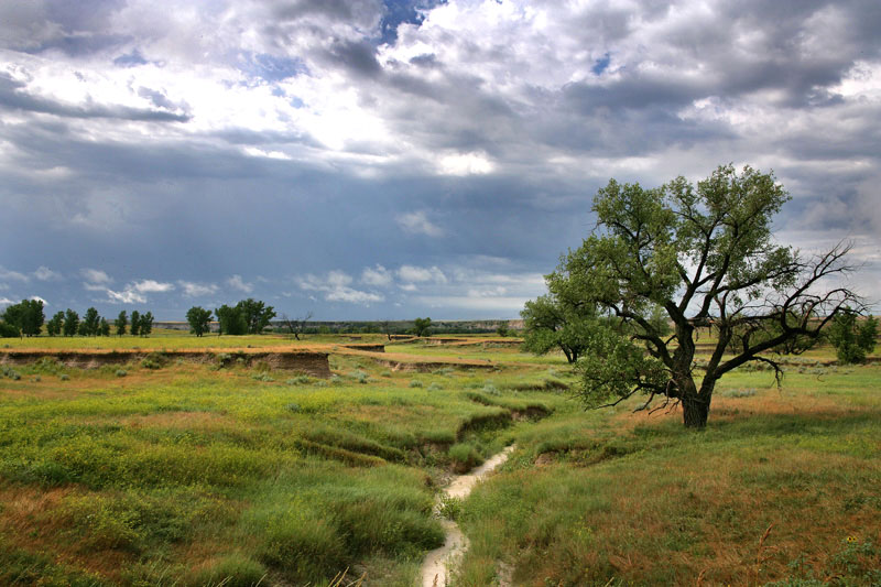 XP9F0508w - Lush Year in the Badlands ©2009 Carrie Barton