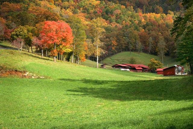 15 - North Carolina Farm ©2006 Carrie Barton