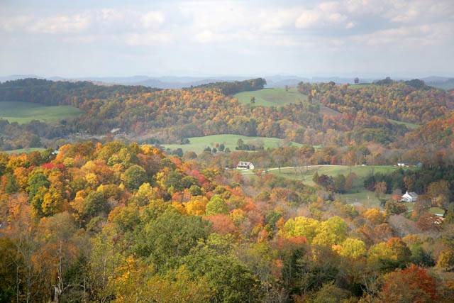 59 - Tennessee Backroads ©2006 Carrie Barton