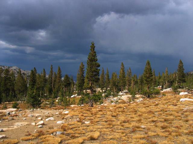 cb14 - Stormy Afternoon ©2004 Carrie Barton