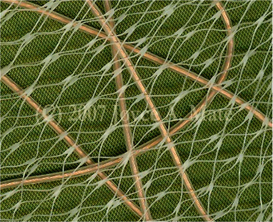 Networked_ABSTRACT - ABSTRACT_Networked ©2007 Joyce Mate