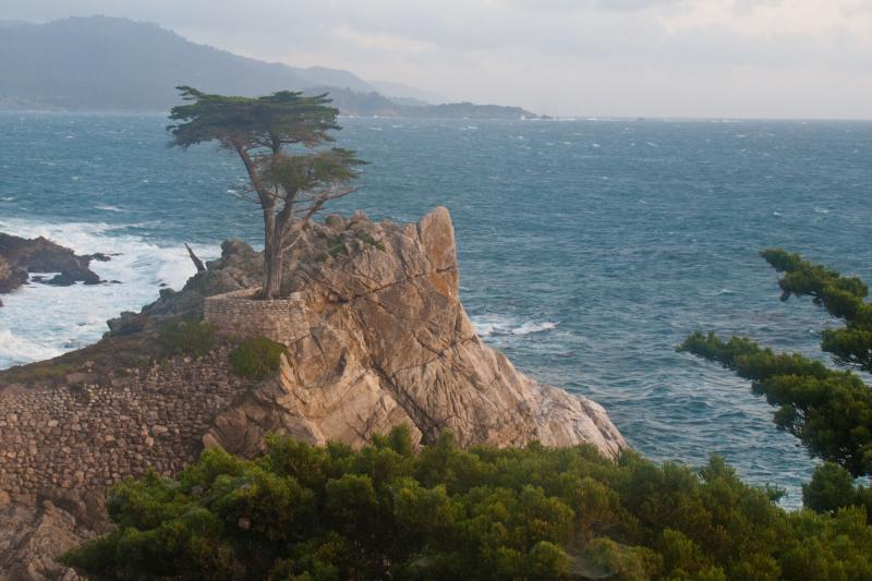 _MG_2095 - Montery Coast ©2011 Martin Oretsky