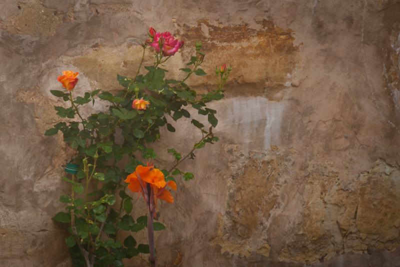_MG_2266 - UNTITLED ©2011 Martin Oretsky
