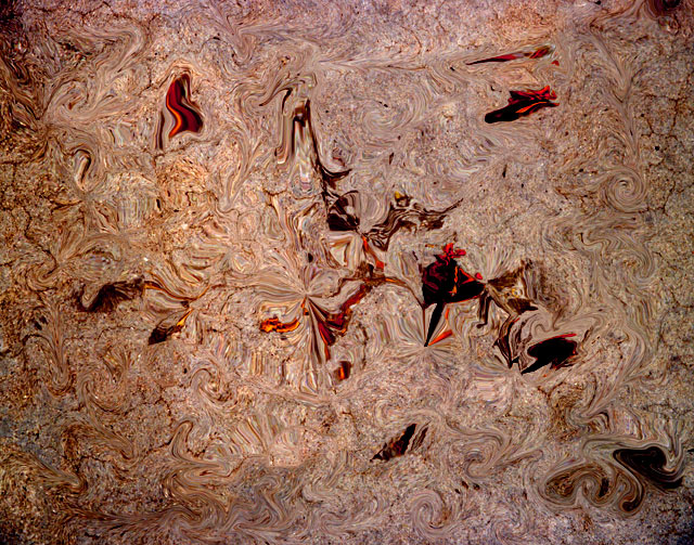 ph16 - Creepy Crawly ©2005 Philip Herwegh