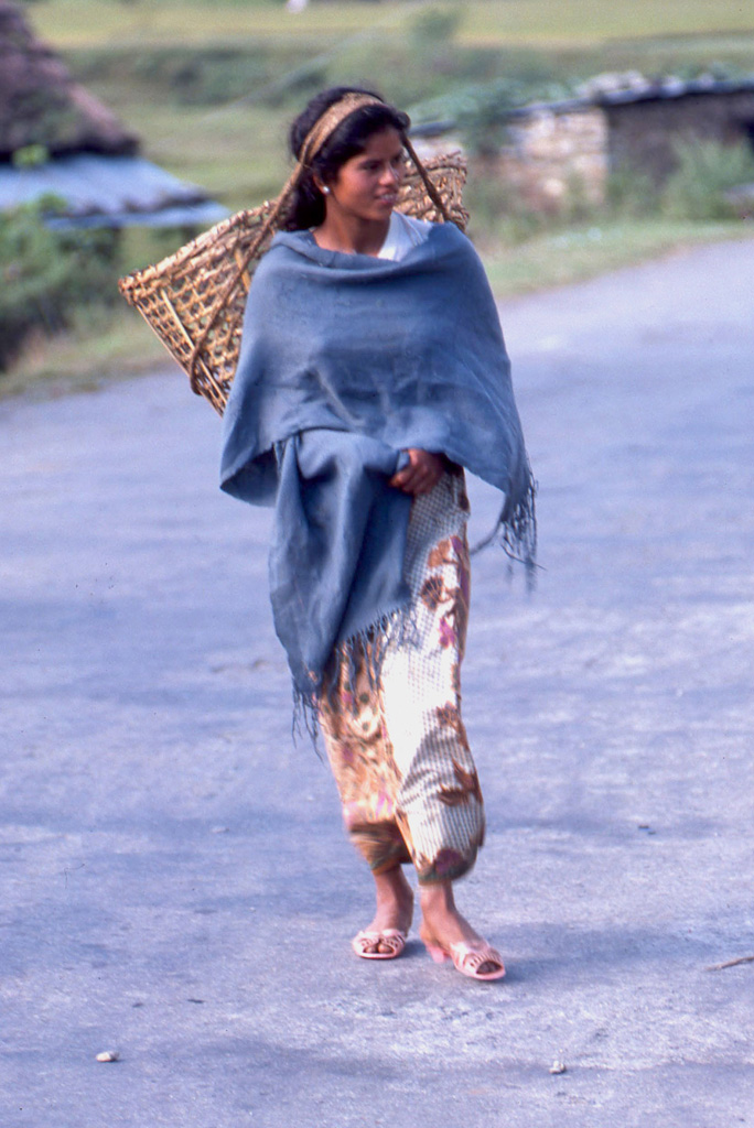 ss3 - woman in blueﾠ©l986 Sanford Sherman