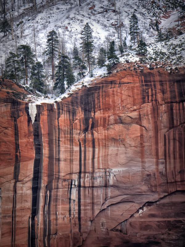 DeepRoots - Deep Roots ©2013 Steve Schlesinger