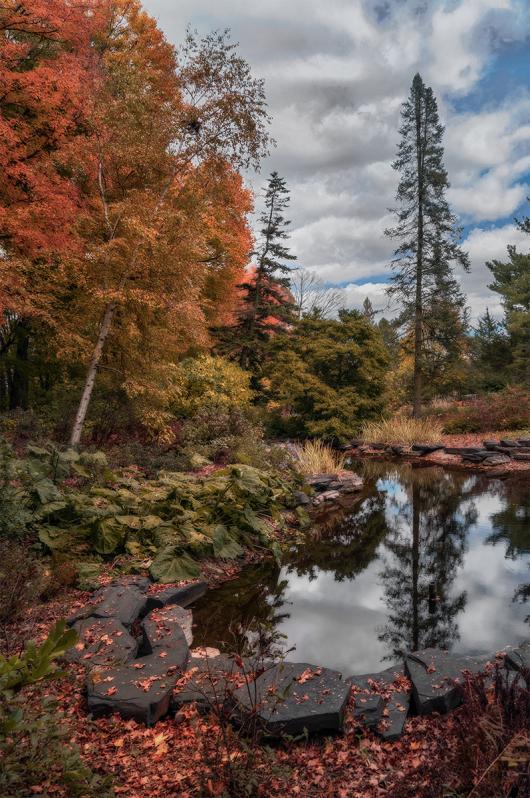 SteveS-PAG-1116-4 - Autumn in MN ©2017 Steve Schlesinger