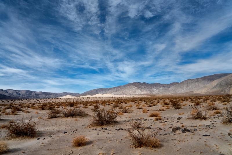 _DSC0394 - Panamint Valley DVNP ©2017 Steve Schlesinger