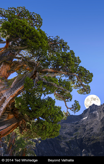 ncps-Beyond-Valhalla - Beyond Valhalla ©2014 Ted Whirledge